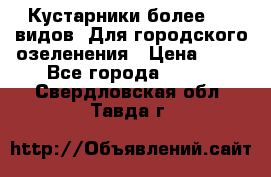 Кустарники более 100 видов. Для городского озеленения › Цена ­ 70 - Все города  »    . Свердловская обл.,Тавда г.